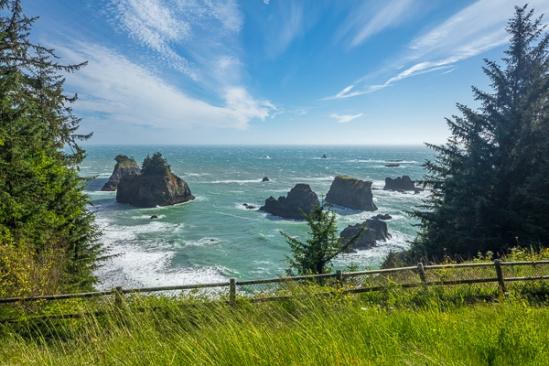 Aqua;Arch Rock;Beach;Blue;Boulder;Boulders;Branches;Brown;Calm;Cloud;Cloud Formation;Clouds;Coast;Coastline;Healing;Health care;Healthcare;Nature;Ocean;Oregon;Pastoral;Rock;Rock formations;Rocks;Rocky;Sea;Sea Stacks;Seascape;Stone;Tan;Tree;Waterscape;Waves;Windy Point;coast;coastline;fence;fence post;fence row;green;oneness;peaceful;plants;restful;sea;serene;shore;shoreline;sky;soothing;tranquil;tree limbs;trees;zen